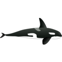 download Orca clipart image with 270 hue color
