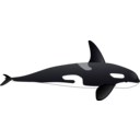 download Orca clipart image with 0 hue color