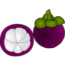 download Mangosteen Thai Fruit clipart image with 315 hue color