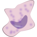 download Macrophage clipart image with 0 hue color