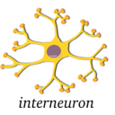 download Neuron Interneuron clipart image with 0 hue color