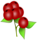 Red Berry