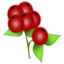 download Red Berry clipart image with 0 hue color