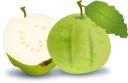 Guava