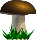Mushroom Grybas