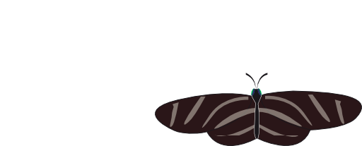 Butterfly Zebra Long Wing