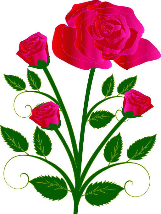 Rose Clipart I2clipart Royalty Free Public Domain Clipart