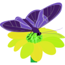 download Butterfly On A Flower clipart image with 45 hue color
