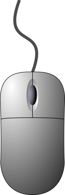 Computer Mouse Top Down View