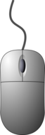Computer Mouse Top Down View