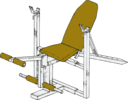 Exercise Bench