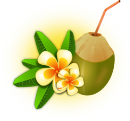 Coconut Cocktail