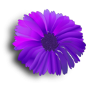 download Flower Pink clipart image with 315 hue color