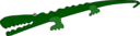 Crocodile