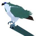 download Osprey clipart image with 180 hue color
