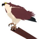 download Osprey clipart image with 0 hue color