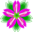 Five Petalled Flower