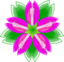 Five Petalled Flower