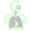 download Cancer Caused By Smoking I clipart image with 90 hue color