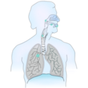 download Cancer Caused By Smoking I clipart image with 180 hue color