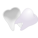 download Tooth Cut In Half clipart image with 270 hue color