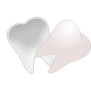 download Tooth Cut In Half clipart image with 0 hue color