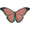 download Morpho Menelaus clipart image with 135 hue color