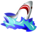 Shark