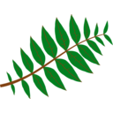 download Pinnate Leaf clipart image with 0 hue color