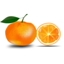 download Slice Of An Orange clipart image with 0 hue color