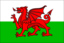 Cymru Flag Wales