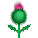 download Scottish Thistle clipart image with 45 hue color