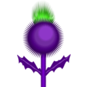 download Scottish Thistle clipart image with 180 hue color