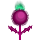download Scottish Thistle clipart image with 225 hue color