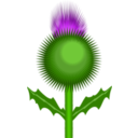 download Scottish Thistle clipart image with 0 hue color