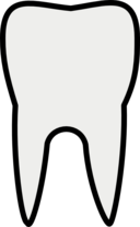 Tooth Line Art