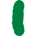 download Pickle clipart image with 45 hue color