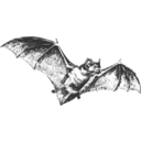 download Bat clipart image with 0 hue color