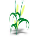 download Plant clipart image with 45 hue color