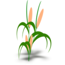 download Plant clipart image with 0 hue color