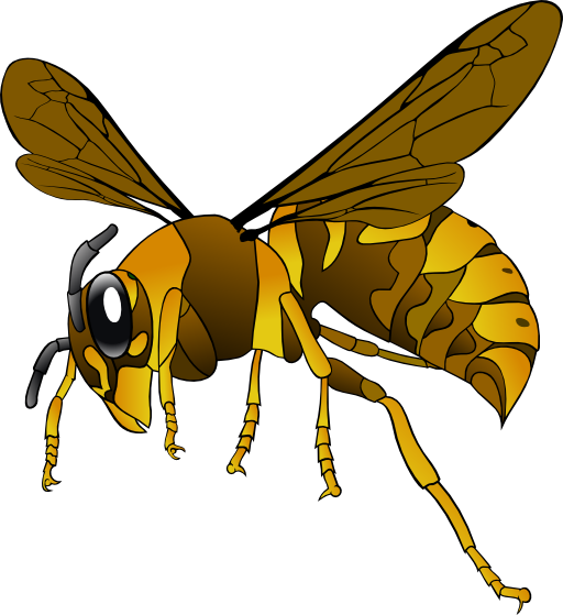 Brown Yellow Hornet
