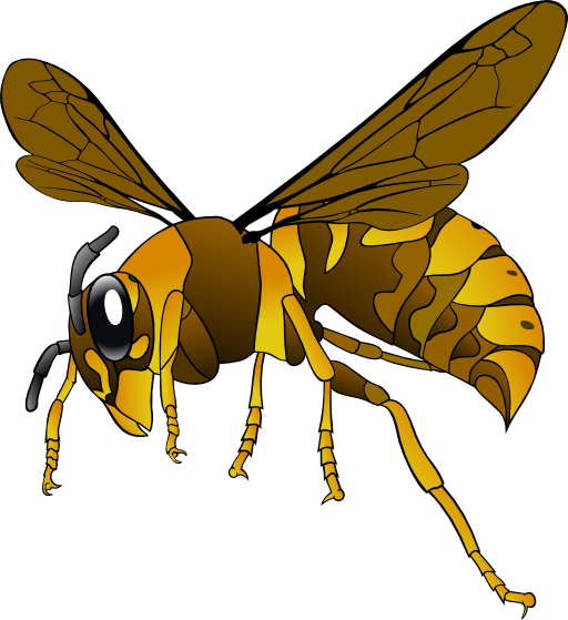 Brown Yellow Hornet Clipart I2clipart Royalty Free Public