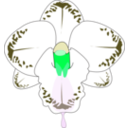 download Wild Orchid clipart image with 90 hue color
