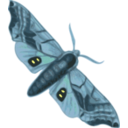 download Moth Smerinthus Geminatus Top View clipart image with 180 hue color