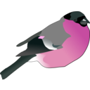 download Eurasian Bullfinch clipart image with 315 hue color