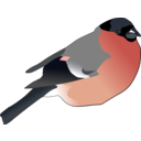 download Eurasian Bullfinch clipart image with 0 hue color