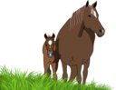 Mare And Foal