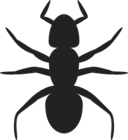 Ant Icon