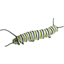 Caterpillar D Plexippus Ii