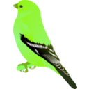 download Gold Finch clipart image with 45 hue color